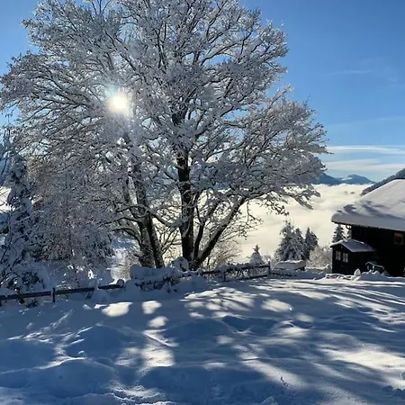 Lejlighed Lina - Lakeview Living Near Interlaken Niederried bei Interlaken